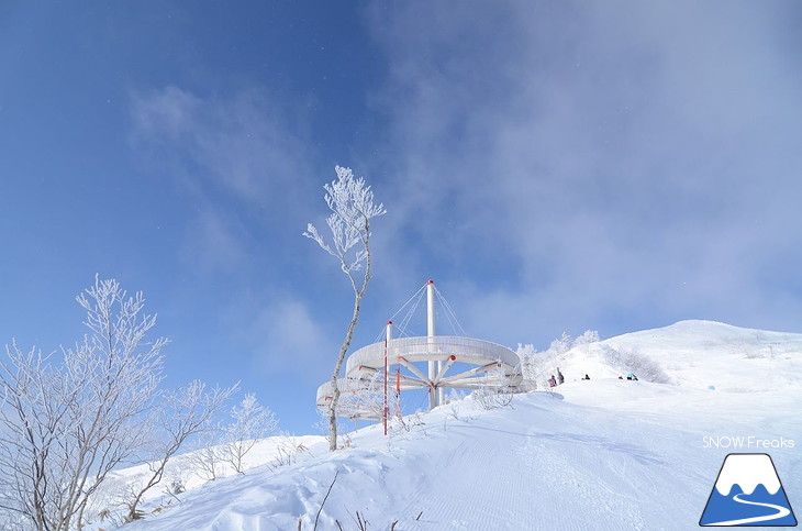 星野リゾート トマムスキー場 国内最上級の粉雪に包まれたリゾートへ！